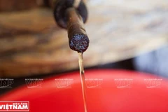 Những giọt nước mắm nhĩ thượng hạng chắt ra từ thùng ủ. (Nguồn: Báo ảnh Việt Nam)