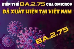 [Infographics] Biến thể BA.2.75 của Omicron đã xuất hiện tại Việt Nam