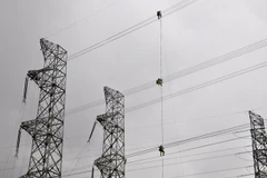 Ảnh minh họa. (Nguồn: TTXVN)