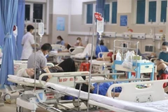 Ảnh minh họa. (Nguồn: TTXVN)