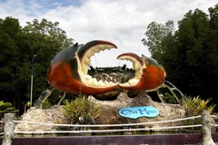 Biểu tượng cua biển - sản vật đặc trưng của vùng đất cuối trời Tổ quốc. (Ảnh: Hồng Đạt/TTXVN) 