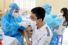 Ảnh minh họa. (Nguồn: TTXVN)