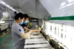 Công nhân sản xuất tại Công ty TNHH MTV SIGMA (Khu công nghiệp Đức Hòa III- Anh Hồng, huyện Đức Hòa, Long An. (Ảnh: Bùi Giang/TTXVN) 