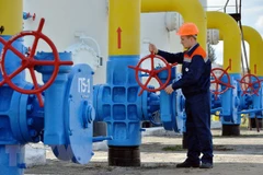 Ảnh minh họa. (Nguồn: AFP/TTXVN)