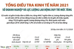 [Infographics] Số doanh nghiệp và lực lượng lao động duy trì mức tăng