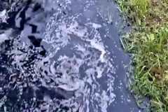 Suối Giao Kèo, chạy qua địa bàn xã Châu Pha, thị xã Phú Mỹ bị ô nhiễm môi trường nghiêm trọng đã ảnh hưởng lớn đến cuộc sống của người dân sinh sống dọc suối. (Ảnh: TTXVN phát)