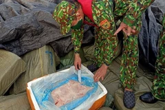 Số nầm lợn được đóng trong thùng xốp và ngụy trang bên ngoài bằng bao dứa. (Ảnh: TTXVN phát)