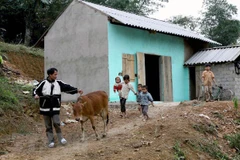 Ảnh minh họa. (Nguồn: TTXVN)