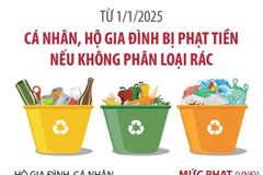 Từ 1/1/2025, cá nhân, hộ gia đình bị phạt tiền nếu không phân loại rác
