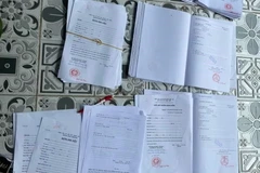 Tang vật bị thu giữ. (Ảnh: TTXVN phát)