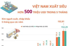 Việt Nam xuất siêu hơn 500 triệu USD trong 5 tháng đầu năm