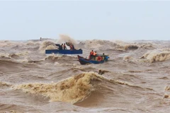 Ảnh minh họa. (Nguồn: TTXVN)