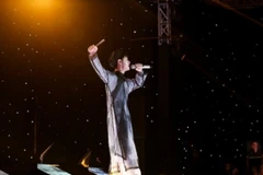 Màu sắc có một không hai - Cao Bá Hưng. (Ảnh: CTS) 