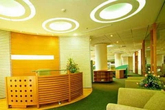 Ánh sáng nhân tạo. Ảnh minh họa. (Nguồn: Internet)