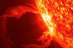 Ảnh minh họa. (Nguồn: Dailymail).