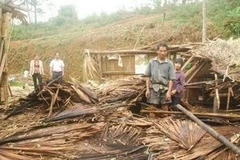 Ảnh minh họa. (Ảnh: Lục Văn Toán/TTXVN)