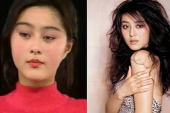 Nữ diễn viên Phạm Băng Băng. (Nguồn: Internet)