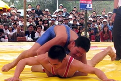 Ảnh minh họa. (Nguồn: Vũ Văn Đức/TTXVN)