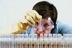 Ảnh minh họa. (Nguồn: Internet)