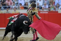 Đấu sĩ Jose Tomas trong trận đấu bò ở đấu trường Monumental. (Ảnh: AFP/TTXVN)