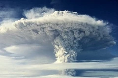 Ảnh minh họa. (Nguồn: Internet)