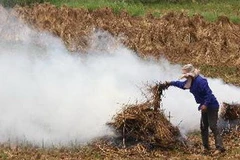 Ảnh minh họa. (Nguồn: Ngọc Hà/TTXVN)