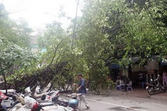 Ảnh minh họa. (Nguồn: Internet)