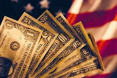 Ảnh minh họa. (Nguồn: globial.com)