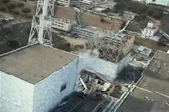 Thanh nhiên liệu trong bể chứa lò 2 Nhà máy điện Fukushima 1 có dấu hiệu bị hư hại. (Nguồn: AP(