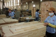 Chế biến ván gỗ. Ảnh minh họa. (Nguồn: Trần Việt/TTXVN)