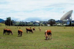 Ảnh minh họa. (Nguồn: governmentgrantsaustralia.org)