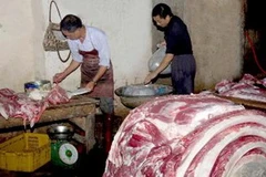 Ảnh minh họa. (Nguồn: Đình Huệ/TTXVN)