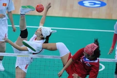 Ảnh minh họa. (Nguồn: Quốc Khánh/TTXVN)