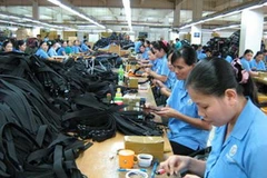 Ảnh minh họa. (Nguồn: Internet)