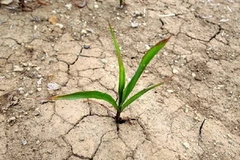 Biến đổi khí hậu. Ảnh minh họa. (Nguồn: Internet)