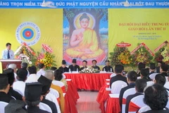 Toàn cảnh đại hội. (Ảnh: Hoàng Anh Tuấn/Vietnam+)