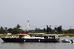 Ảnh minh họa. (Nguồn: Hoàng Hải/TTXVN)