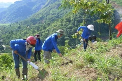 Ảnh minh họa. (Nguồn: Internet)