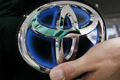 Ảnh minh họa. (Nguồn: Internet)