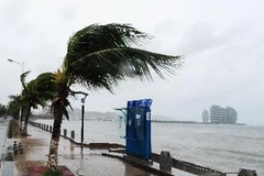 Gió lớn ở thành phố Tam Á, tỉnh Hải Nam, miền nam Trung Quốc ngày 27/10. (Nguồn: THX/ TTXVN)