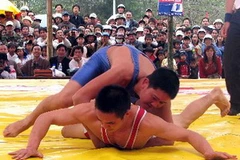 Ảnh minh họa. (Nguồn:Vũ Văn Đức/TTXVN)