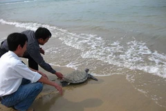 Ảnh minh họa. (Nguồn: Internet)