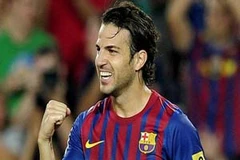 Tiền vệ Cesc Fabregas. (Nguồn: Getty)