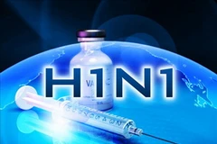 Ảnh minh họa. (Nguồn: Internet)