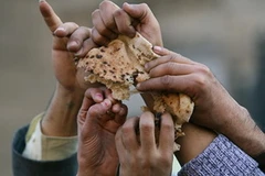 Ảnh minh họa. (Nguồn: Internet)