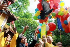 Hình ảnh chào mừng Đại lễ Phật đản, Phật lịch 2557