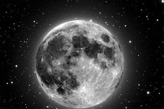 Ảnh minh họa. (Nguồn: Internet)