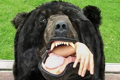 Ảnh minh họa. (Nguồn: Internet)