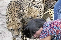 Bà Violet D'Mello bên cạnh nỗi ác mộng của mình. (Nguồn: Internet)