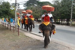 Đàn voi chở du khách đi dạo trên một đoạn của khu phố cổ. (Ảnh: Ngọc Tiến/Vietnam+)